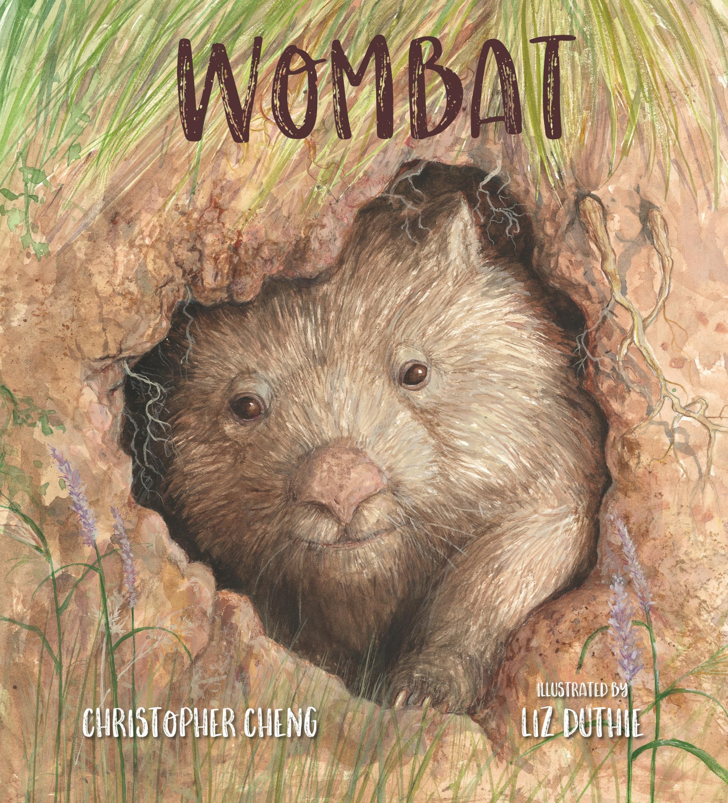 トップス wombat Wombat | Amazon.com.br